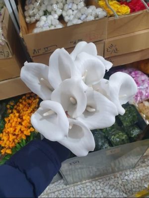 شاخه شیپوری ژله ای پک ۱۰ عددی