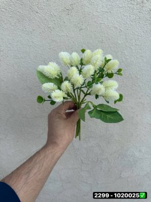 دسته قاصدک وارداتی 7شاخه ای