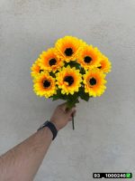 بوته آفتابگردان 10 گل