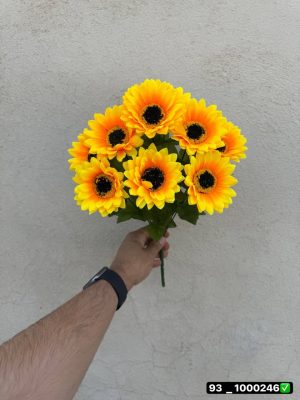 بوته آفتابگردان 10 گل