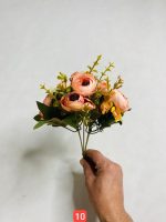 بوته نسترن ( پک 12 تایی)