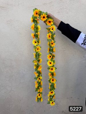 ریسه آفتابگردان زنجیره