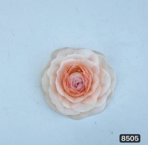 سرگل کاملیا ( پک 25 تایی )