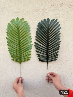 برگ کنتیا لمسی (سایز کوچک)