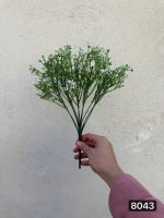 بوته شکوفه کبریتی ۱۲ بازو