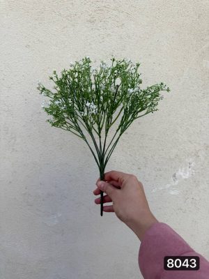 بوته شکوفه کبریتی ۱۲ بازو