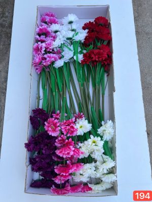 شاخه ژرورا خارجی ۵ گل (جعبه 36 تایی )