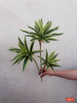 شاخه آناناسی ۳ بازو