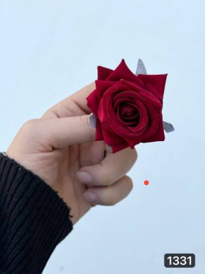 سرگل مخمل مینیاتوری خارجی ( پک 25 تایی )