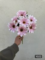 بوته مارگاریت