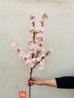 شاخه شکوفه به دو پر