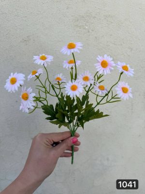 بوته بابونه 15 گل(پک 12 تایی )