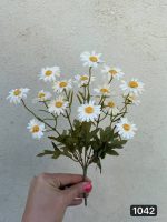 بوته بابونه  برگ سوخته 5بازو (پک 12تایی )