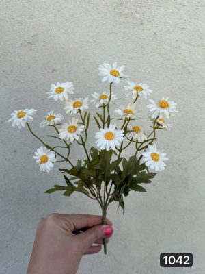 بوته بابونه  برگ سوخته 5بازو (پک 12تایی )