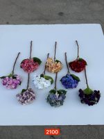 شاخه هورتانسیا رنگی (پک 12تایی )