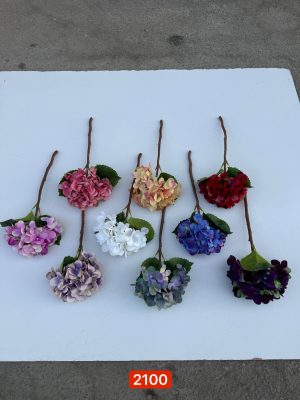 شاخه هورتانسیا رنگی (پک 12تایی )