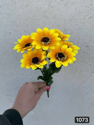 بوته آفتاب گردون ۷ بازو