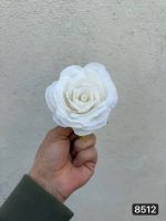 رز درشت ( پک 25 تایی )