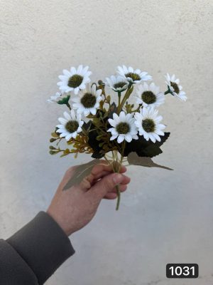 بوته بابونه