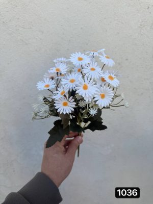 بوته بابونه وحشی