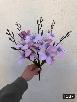 بوته آلستر  رنگی (پک 6 تایی)