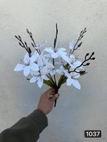 بوته آلستر سفید