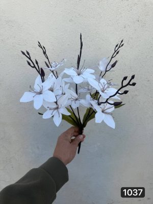 بوته آلستر سفید