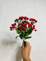 بوته زالزالک 7 بازو (پک 12 تایی)