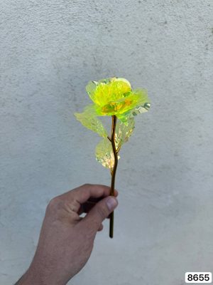 شاخه رز هولوگرامی ( پک 20تایی)