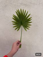 برگ پالم لمسی