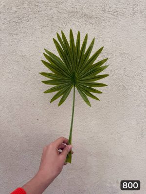 برگ پالم لمسی