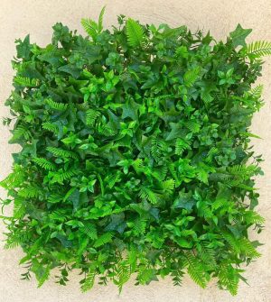 استوایی پاپیتال سرخس