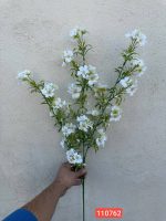 شاخه بابونه واداتی