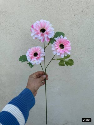 شاخه ژرورا سه گل وارداتی (پک 12تایی )