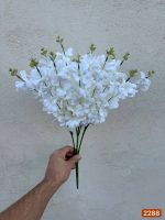 بوته شکوفه سفید ۱۶ بازو