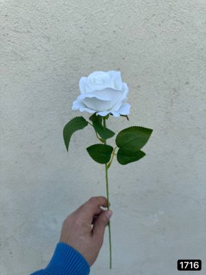 شاخه رز وارداتی (جعبه 125 تایی )