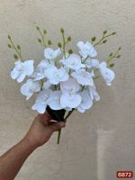 بوته ارکیده ۲۰ گل لمسی سفید