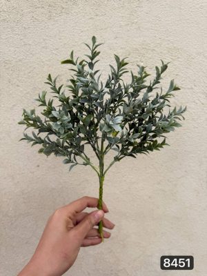 بوته اناری مات