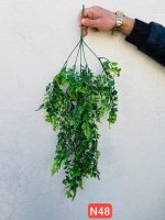 آویز استوایی