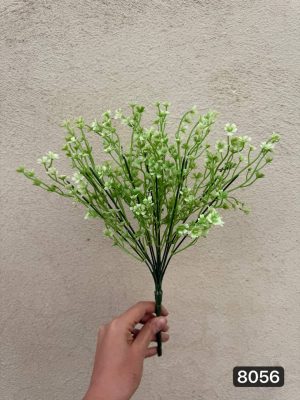 بوته شکوفه جعفری