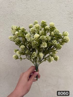 بوته شکوفه کبریتی