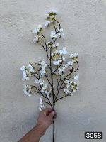 شاخه شکوفه به ژاپنی