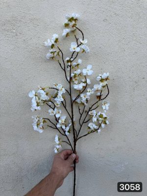 شاخه شکوفه به ژاپنی