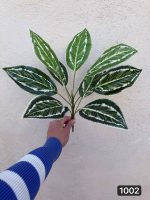 بوته باکسی ۹ برگ