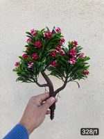 بونسای سه کوپ (پک 12 تایی)