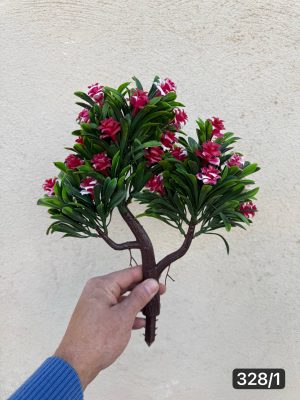 بونسای سه کوپ (پک 12 تایی)