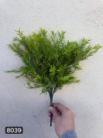 بوته شویدی ترخون ۱۲ بازو بزرگ