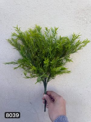 بوته شویدی ترخون ۱۲ بازو بزرگ