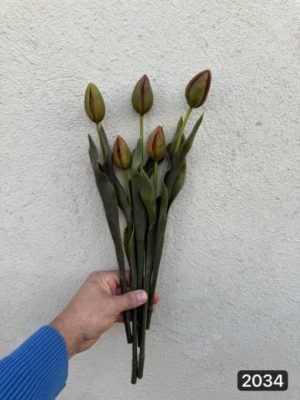 شاخه لاله چرمی