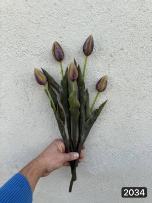 شاخه لاله چرمی (پک 20 تایی)